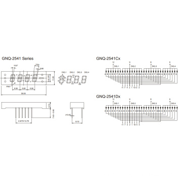 0,25 polegadas 4 dígito 7 Segmento Display (GNS-2541Cx-Dx)